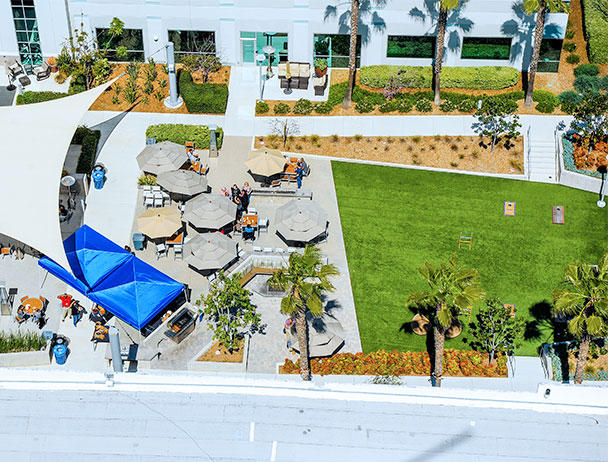 Aerial view of umbrella shaded tables on the courtyard at the Carlsbad campus