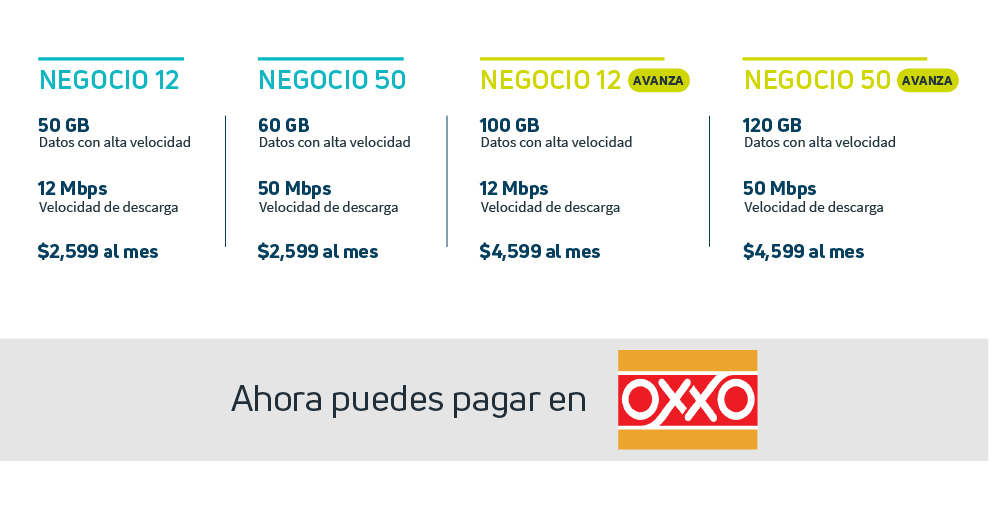 Paquetes y precios de internet para negocios