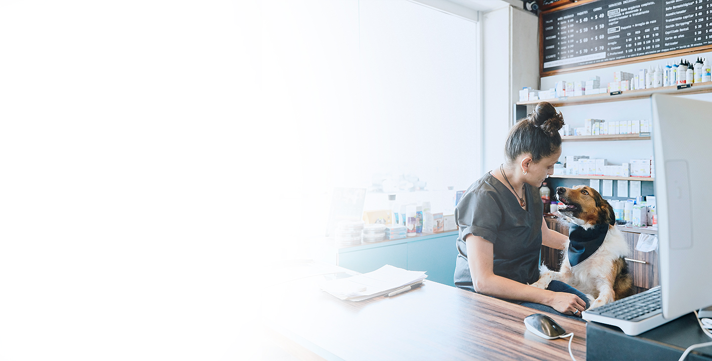 Veterinarian talking to a dog behind her computer, connected with small business satellite internet
