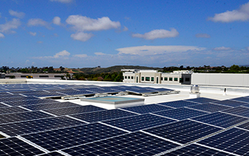 An array of solar panels