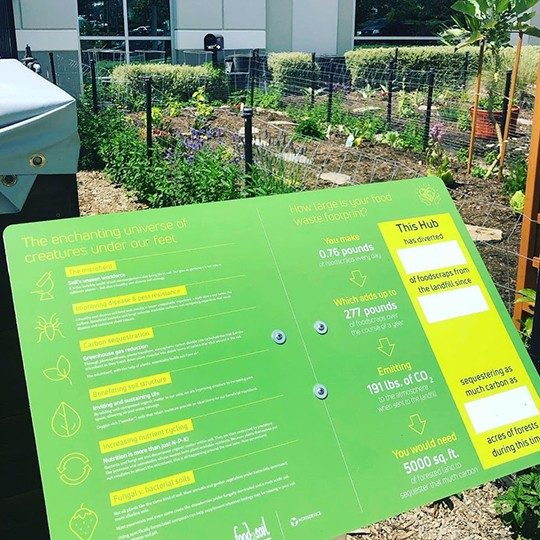 Garden as part of Corporate Sustainability at Viasat