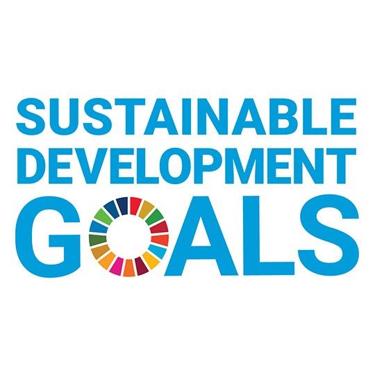 United Nations (UN) sustainable development goals logo