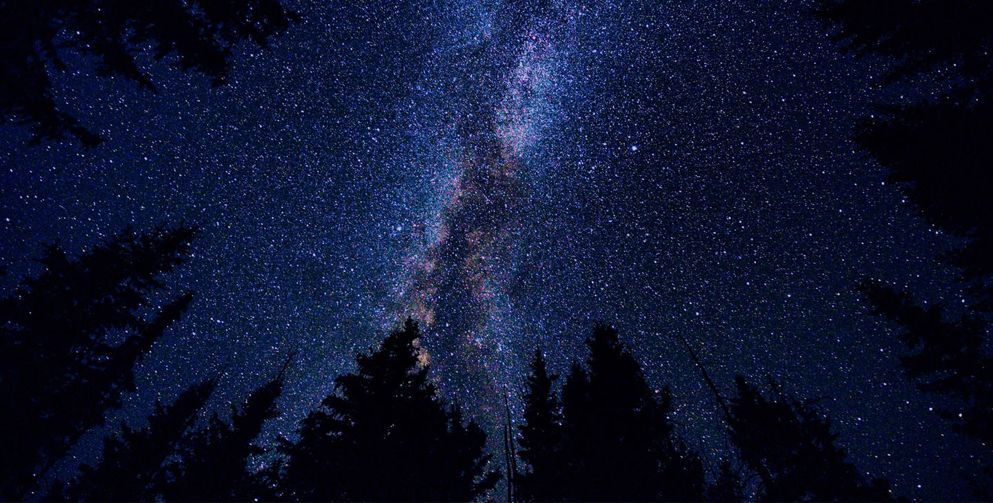 A view of the unpsoiled night sky from a remote forest
